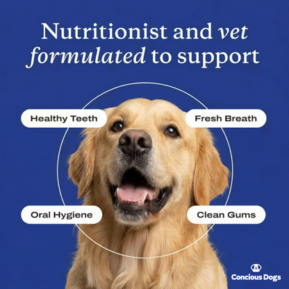 Allergy & Immune Probiotics for Dogs