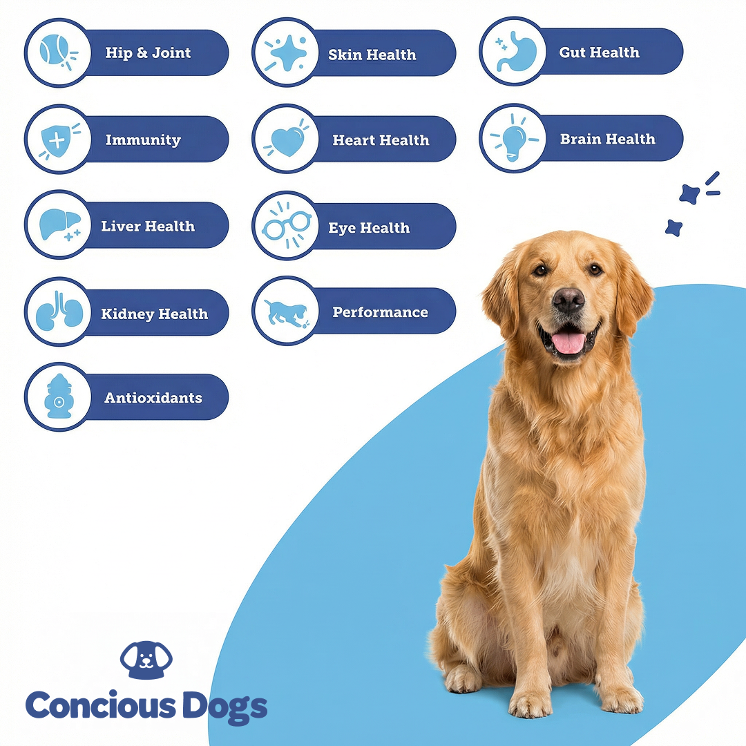 Allergy & Immune Probiotics for Dogs