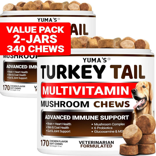 Turkey Tail Mushroom Chews for Dogs